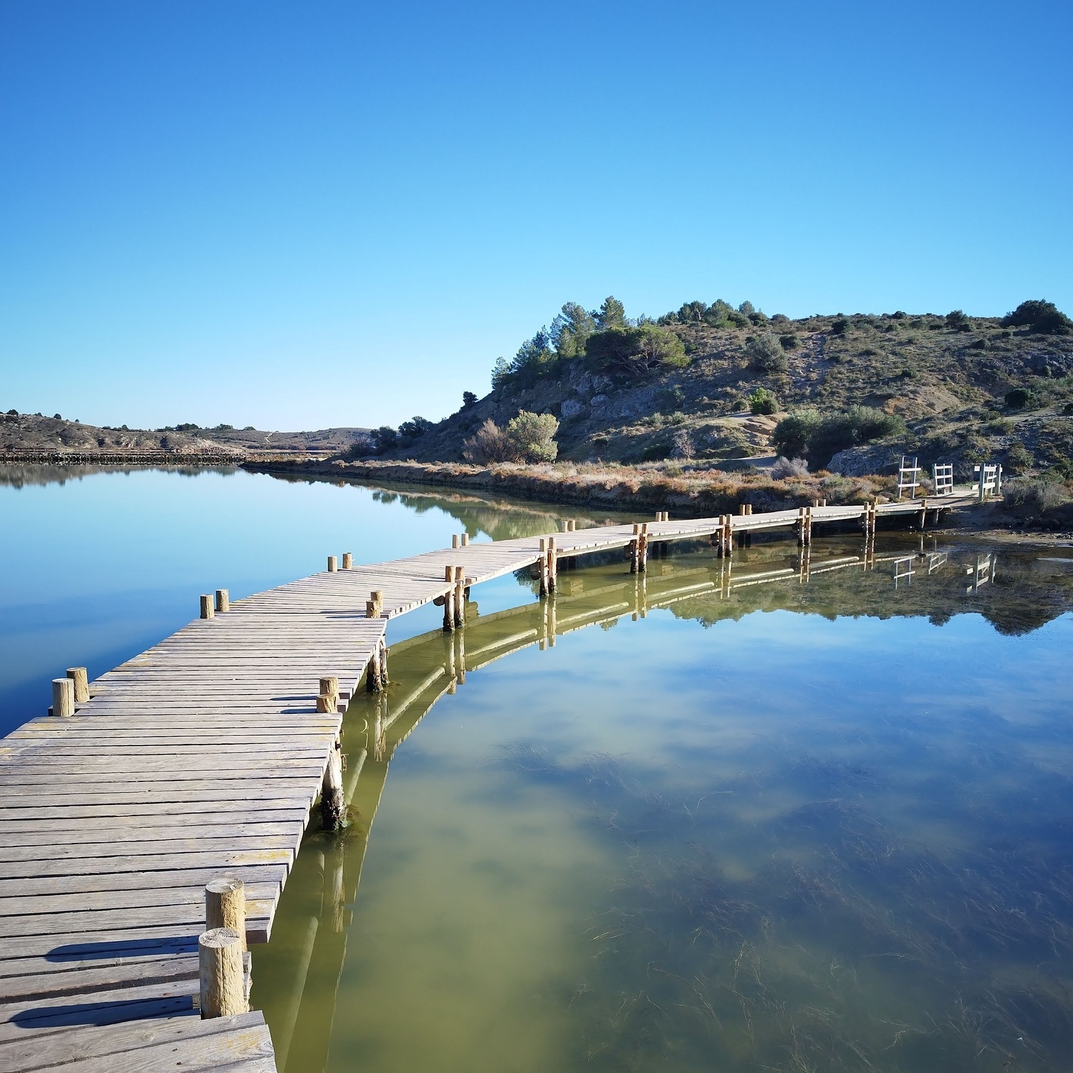 486759400_1855936675171174_5560330920652642758_n