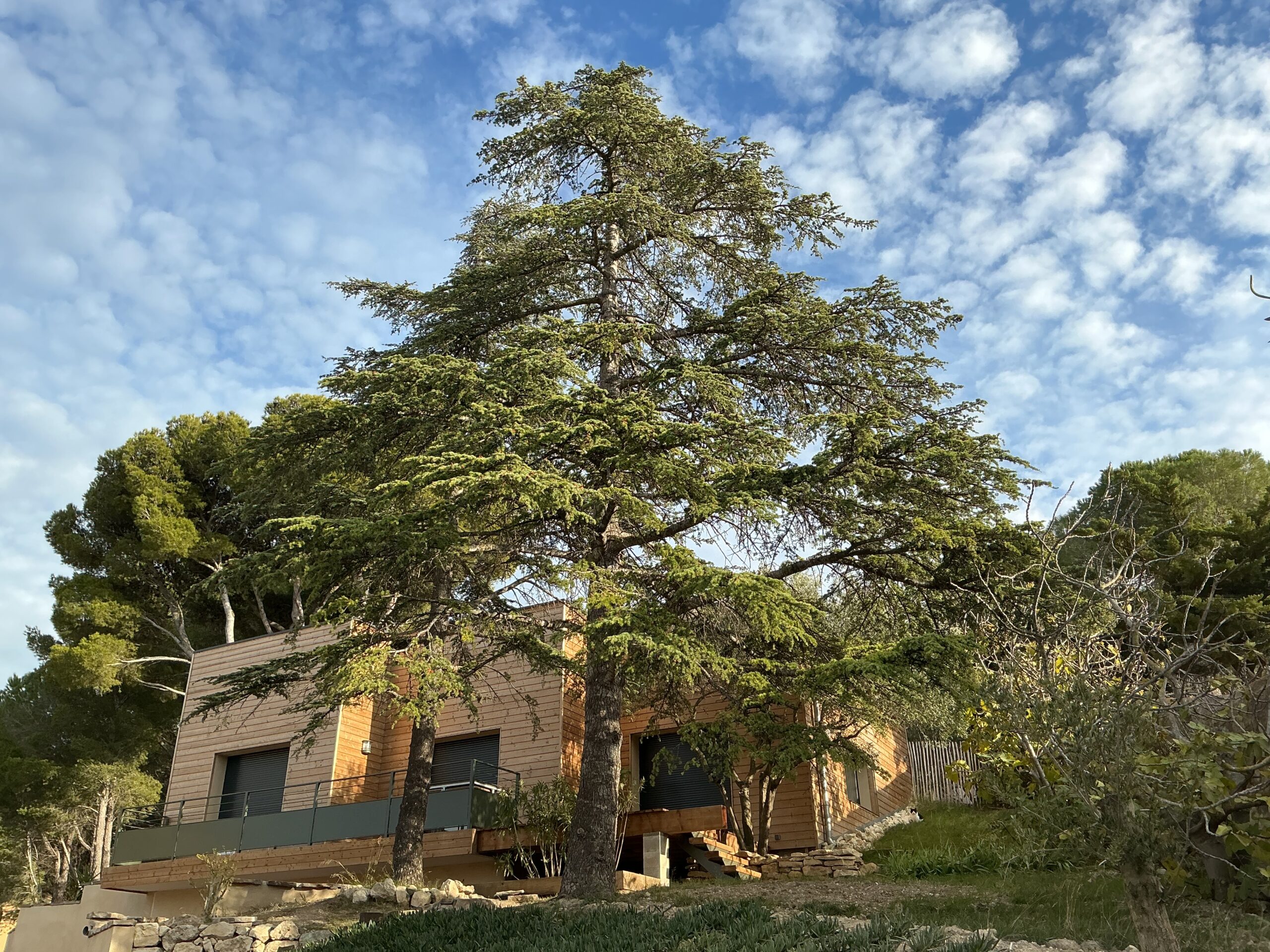 La Petite Saline Location